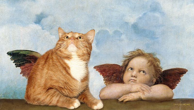 Raphael. Cats are true angels