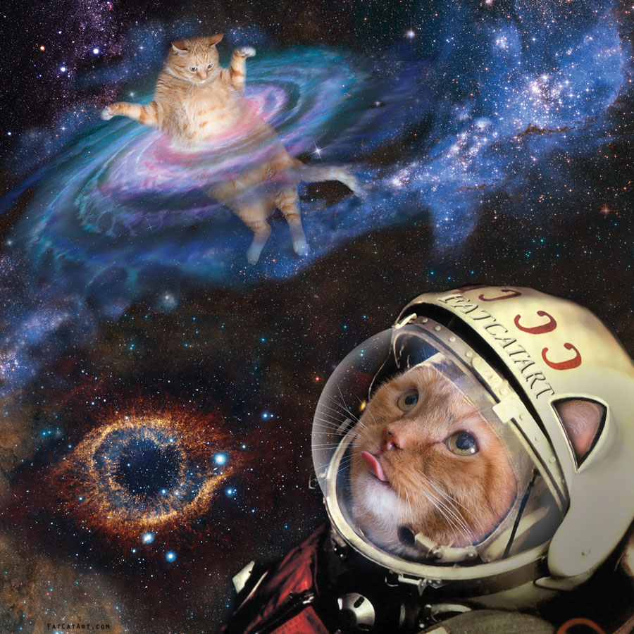 Space Cat Poster W 