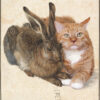 Albrecht Dürer, Hare and Cat poster