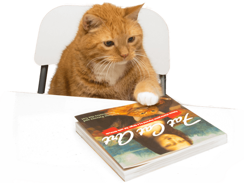Zarathustra the Cat with his book