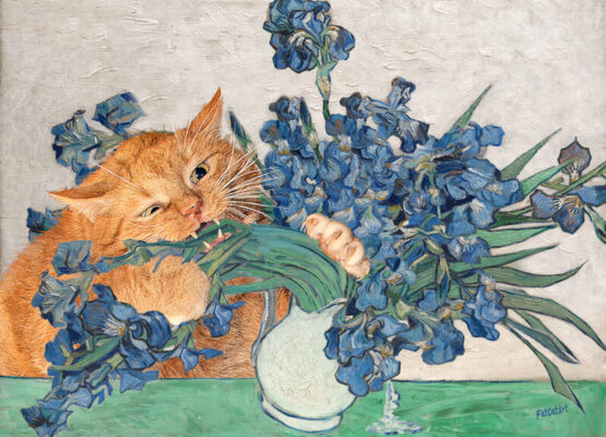 Vincent van Gogh, Irises and the Cat postcard